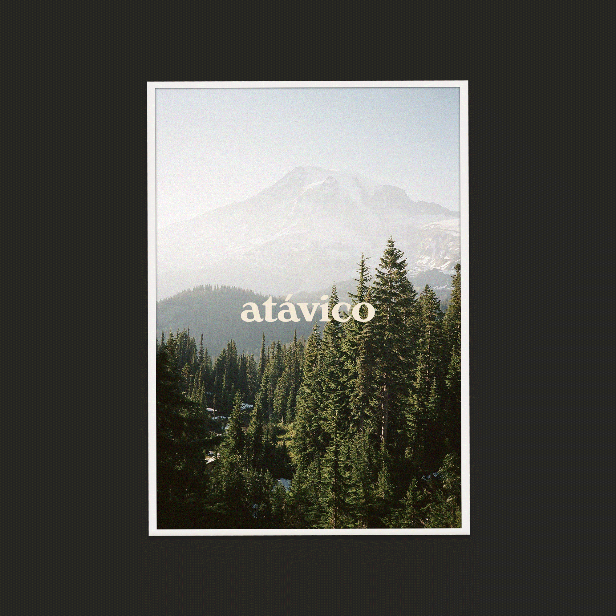 branding for a natural product brand