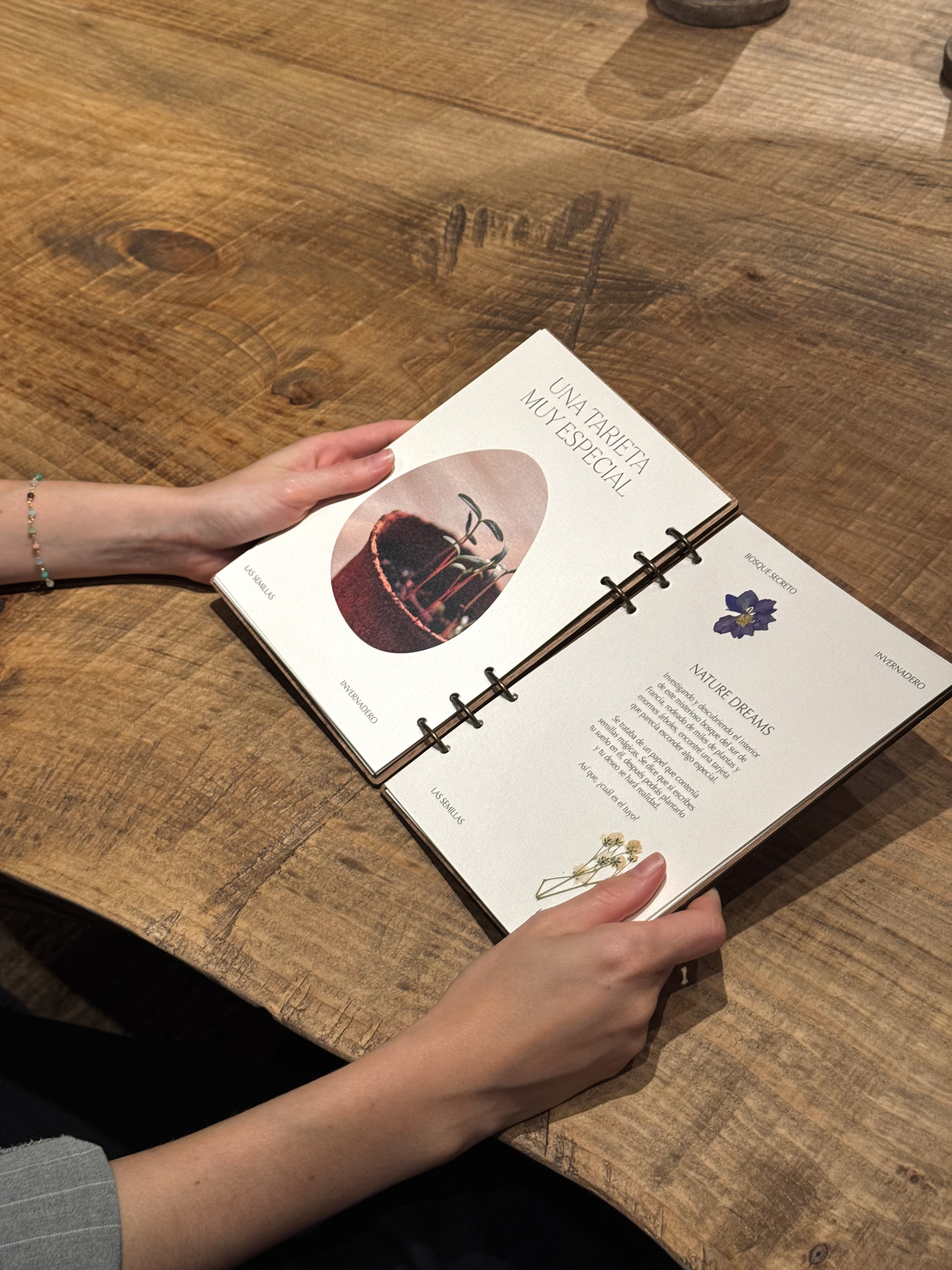 Graphic design for Begin restaurants