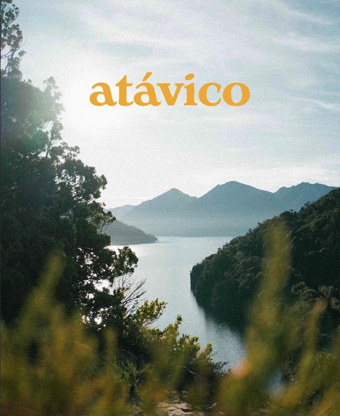 branding for a natural product brand