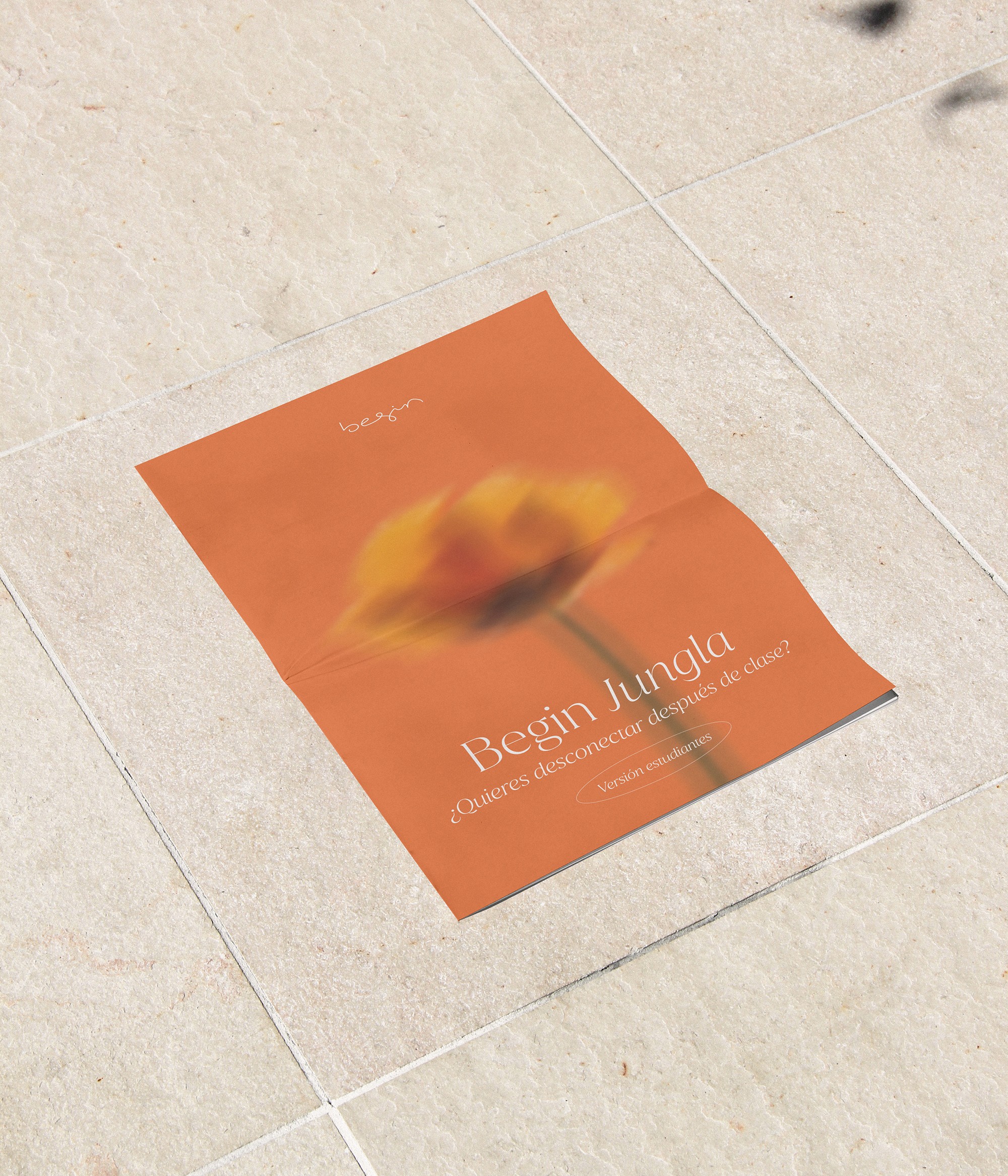 "Decorative image"